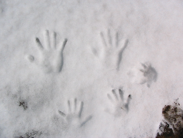 Family Hands